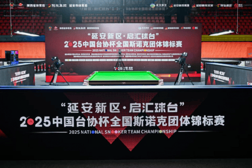 丁俊晖是我, 集团 丁俊晖是我, 集团