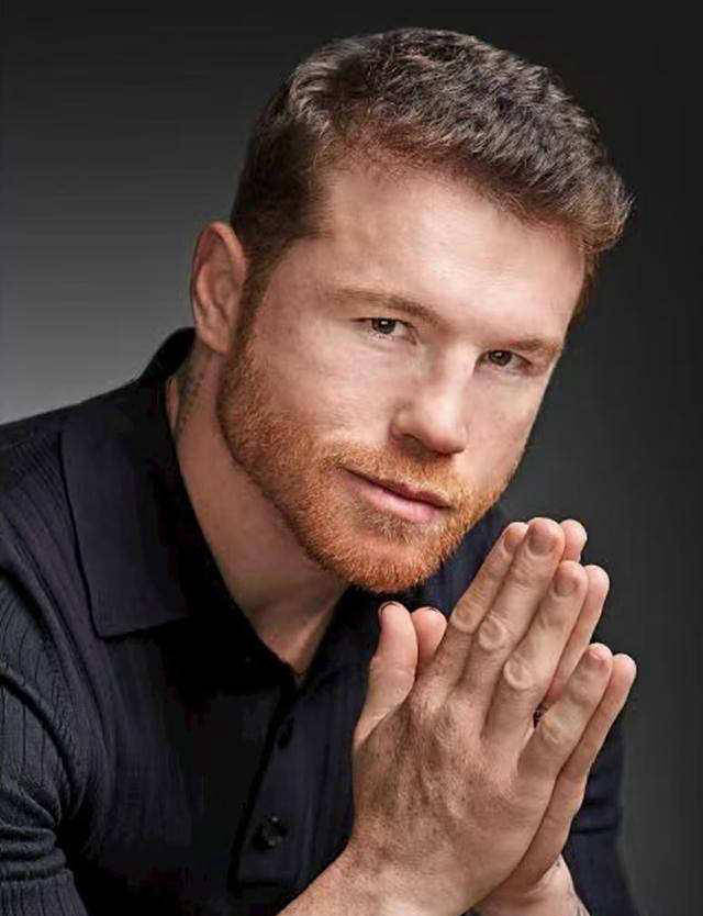 拳手, 收入将直接 拳手, 收入将直接