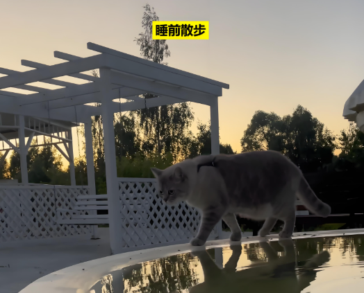 肚子跟着轻, yid