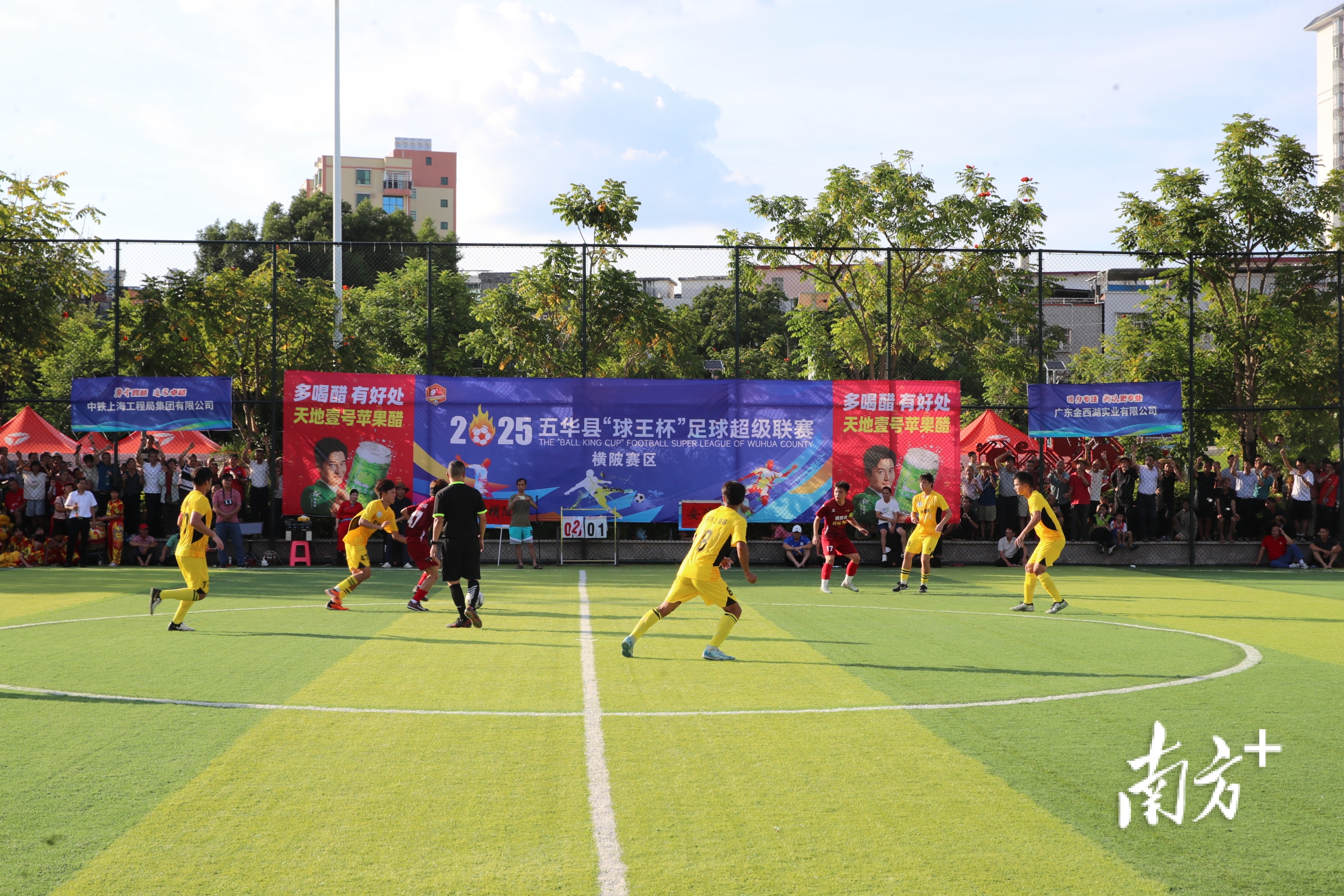 猛龙队, 可多选 猛龙队, 可多选